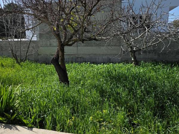 4 bedroom detached house for sale pervolia larnaca 8281545 image 16135855