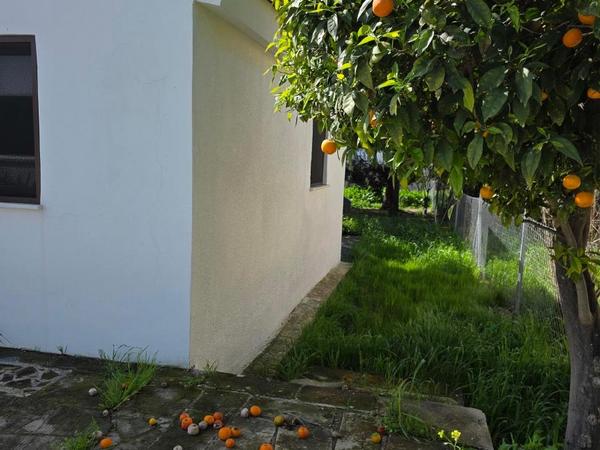 4 bedroom detached house for sale pervolia larnaca 8281545 image 16135869