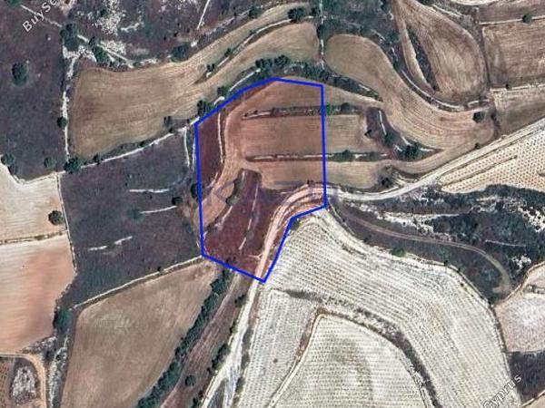land for sale pachna limassol 8156545 image 13482514