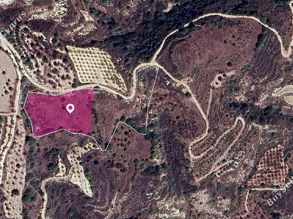 land for sale theletra paphos 8237545 image 14230590