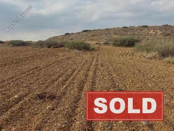 land sold pera chorio nisou nicosia 1244545 image 7203613