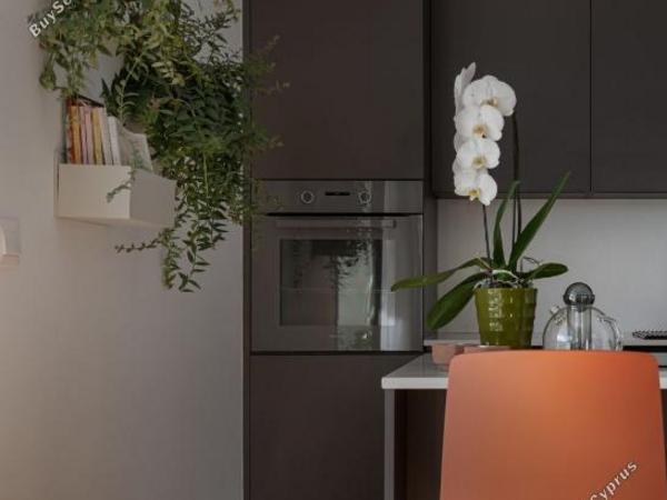 2 bedroom apartment for sale dasoupoli nicosia 8214645 image 13863585