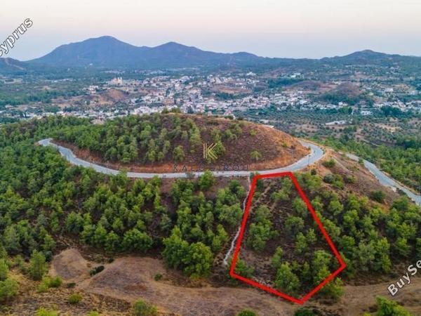 land for sale kornos larnaca 1194645 image 5568862
