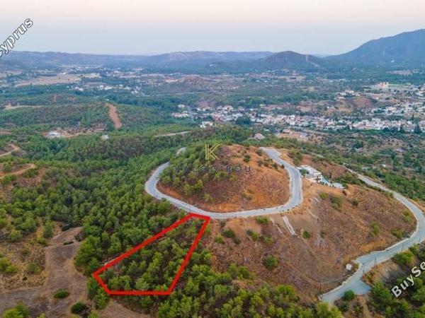 land for sale kornos larnaca 1194645 image 5568864