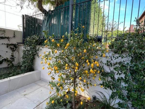 2 bedroom ground floor apartment for sale pyrgos limassol limassol 7735745 image 11934259