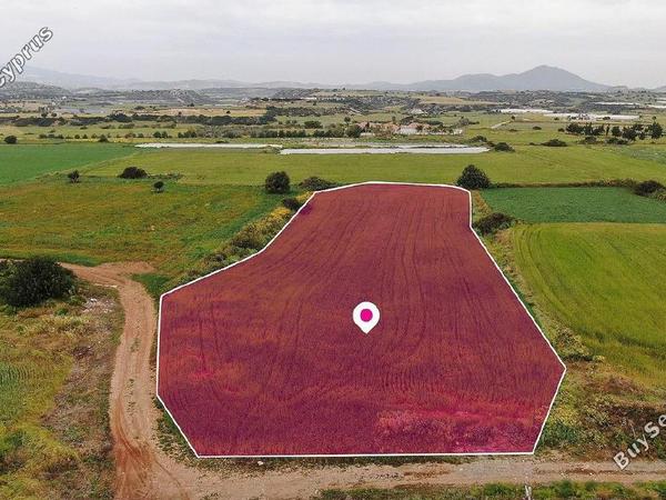 land for sale mazotos larnaca 1518745 image 12627647