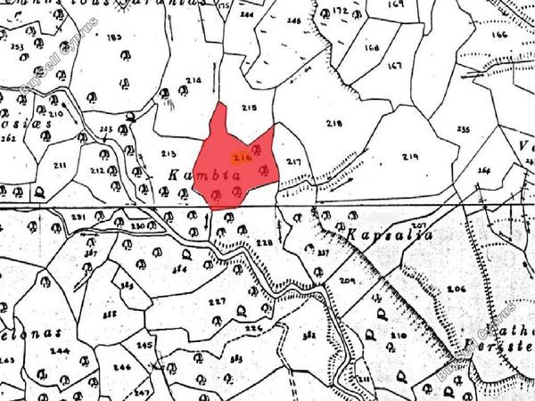 land for sale trahipedoula paphos 962745 image 15600979