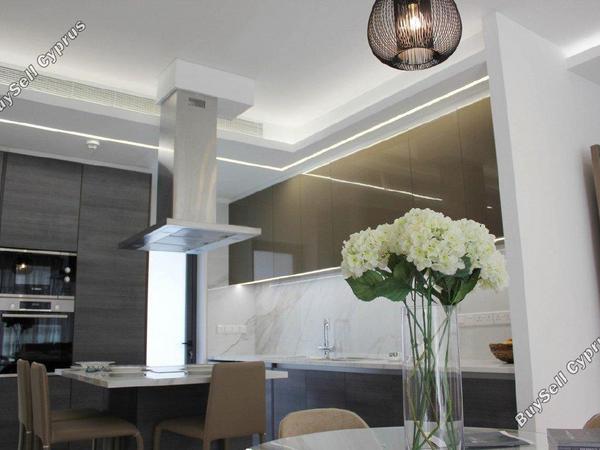 2 bedroom apartment for rent potamos germasogeias limassol 1706845 image 14527463