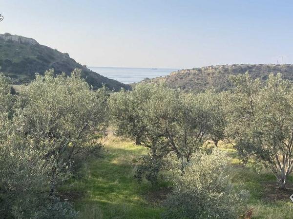 land for sale agios tychonas limassol 8476845 image 15238145