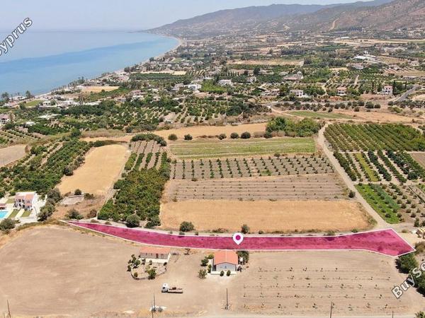 land for sale argaka paphos 8395845 image 14822074