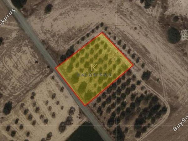 land for sale mazotos larnaca 1593845 image 5701804