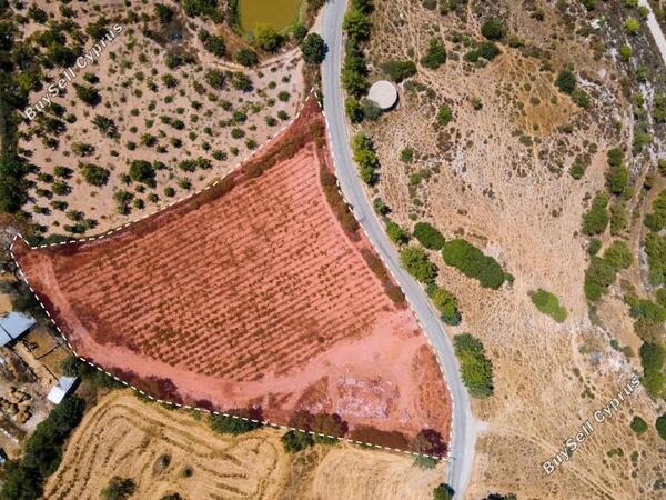 land for sale fyti paphos 1352945 image 2540641