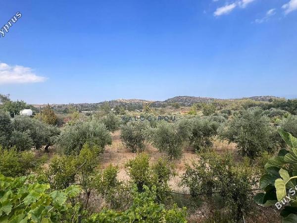 4 bedroom detached house for sale anglisides larnaca 1502055 image 15934555