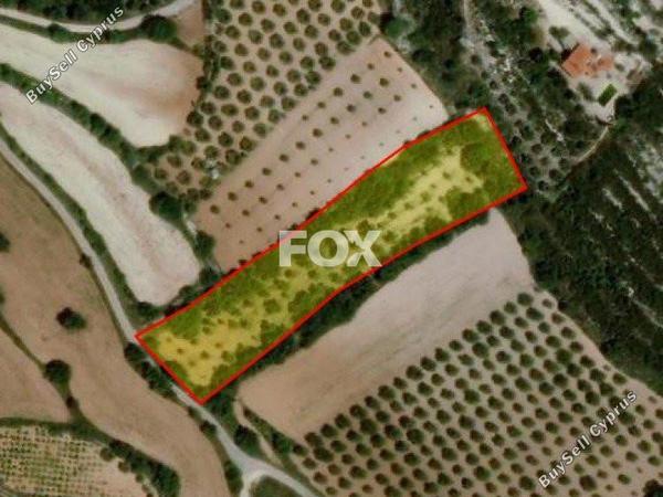 land for sale armou paphos 1160055 image 5535419