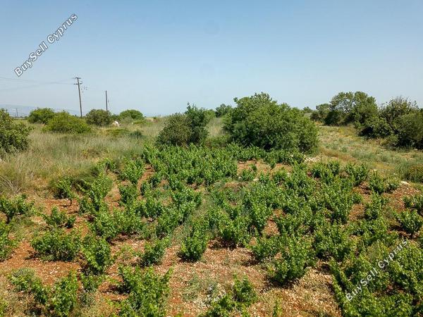land for sale ineia paphos 823055 image 15599883