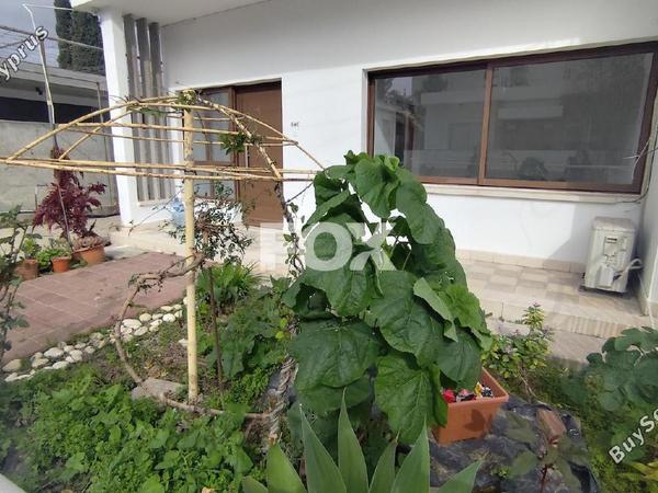 1 bedroom detached house for rent agia zoni limassol 8209155 image 14874795