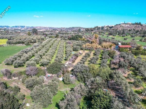 land for sale choirokoitia larnaca 982155 image 5609858