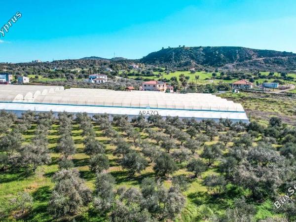 land for sale choirokoitia larnaca 982155 image 5609864