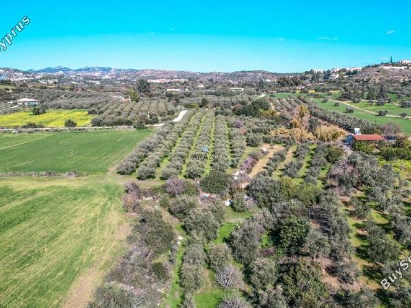 land for sale choirokoitia larnaca 982155 image 5609878