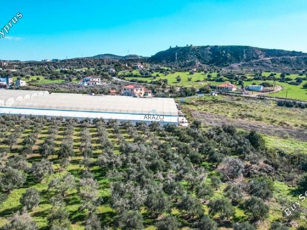 land for sale choirokoitia larnaca 982155 image 5609891