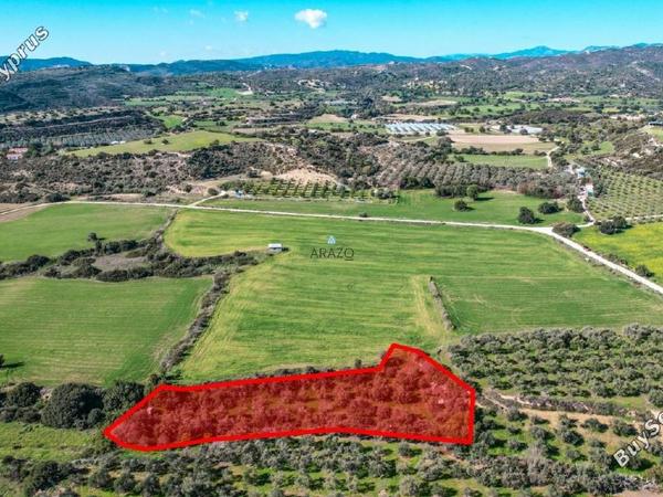 land for sale choirokoitia larnaca 982155 image 5609910