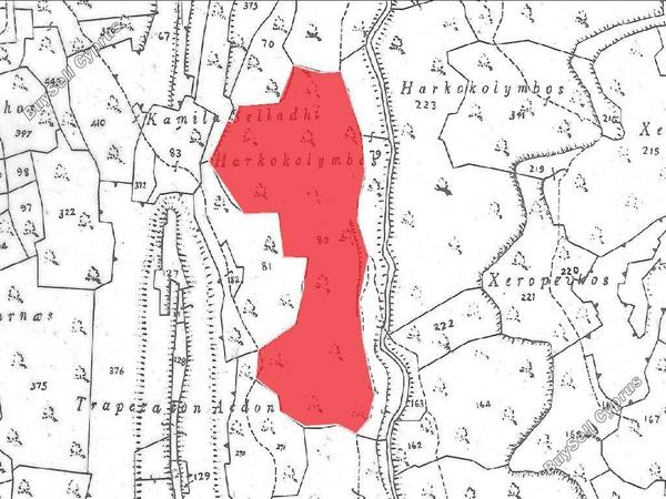 land for sale fasoula lemesou limassol 8139155 image 13975364