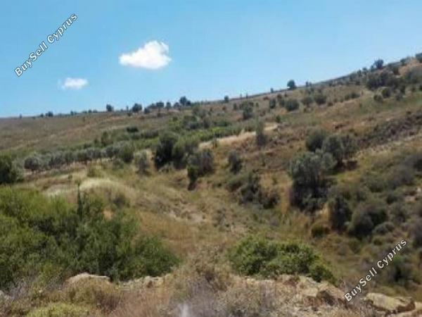 land for sale statos agios fotios paphos 1785155 image 15597615