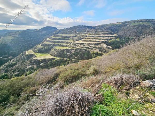 land for sale theletra paphos 1661155 image 4264971