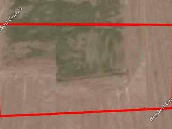 plot for sale kokkinotrimithia nicosia 1218155 image 16168698