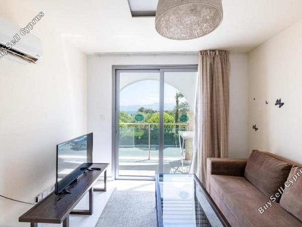 1 bedroom detached house for sale latsi paphos 8399255 image 15378157