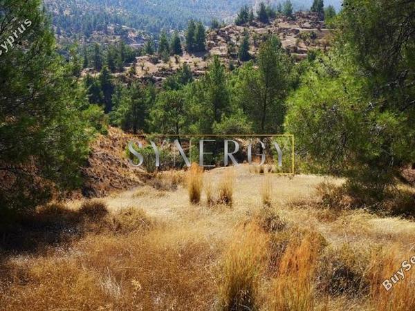 land for sale agios theodoros soleas nicosia 1011255 image 5194510