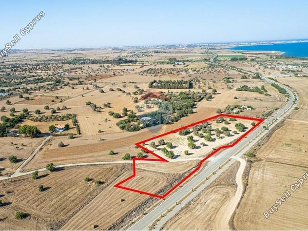 land for sale mazotos larnaca 7580255 image 15069104