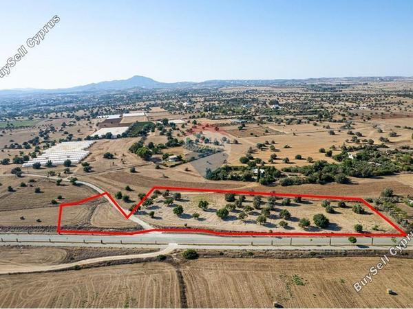 land for sale mazotos larnaca 7580255 image 15069105