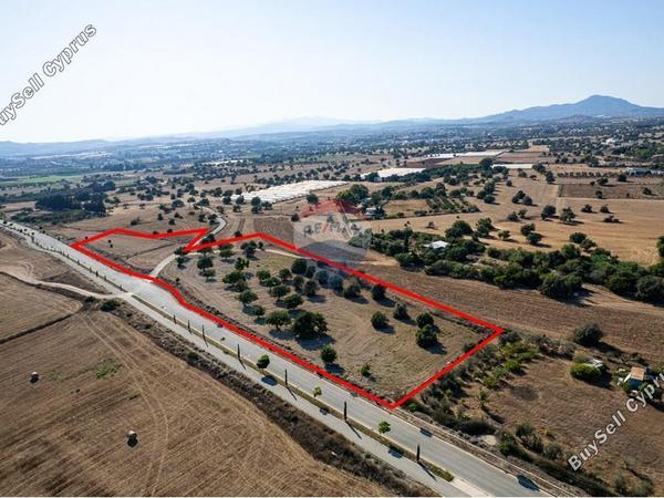 land for sale mazotos larnaca 7580255 image 15069106
