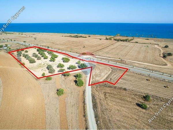 land for sale mazotos larnaca 7580255 image 15069107