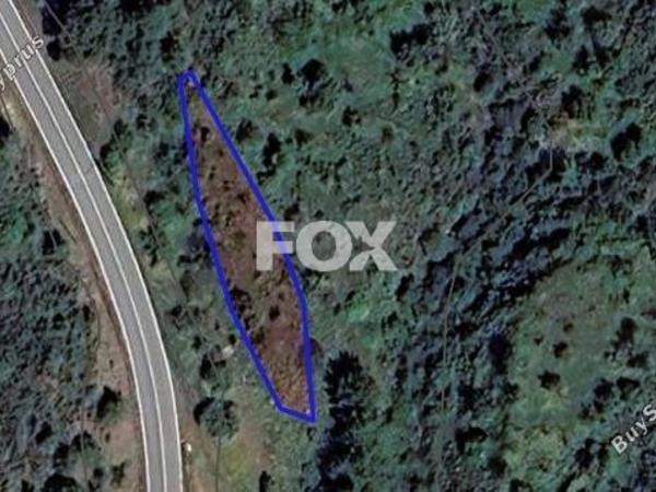 land for sale pachyammos paphos 1443255 image 14828532