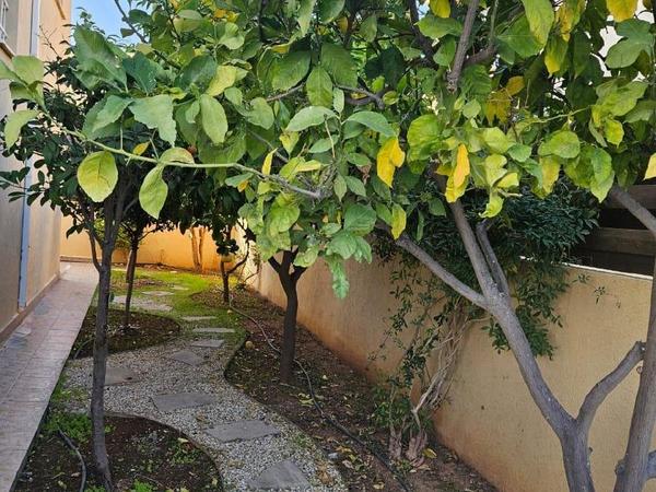 6 bedroom detached house for rent potamos germasogeias limassol 8022355 image 16232446