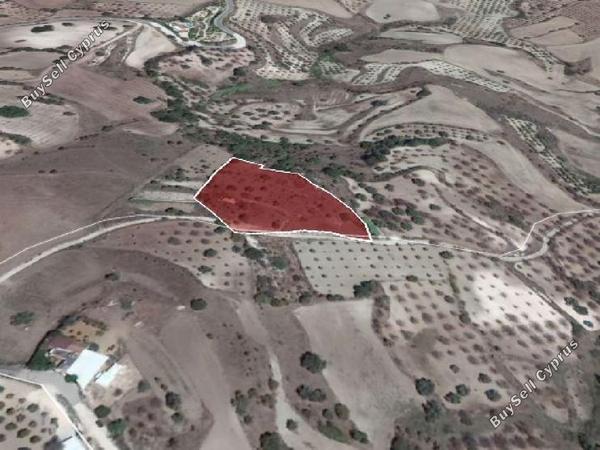 land for sale simou paphos 946355 image 16009349
