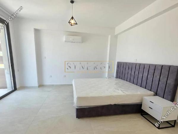 3 bedroom detached house for rent geroskipou paphos 8903455 image 17549123