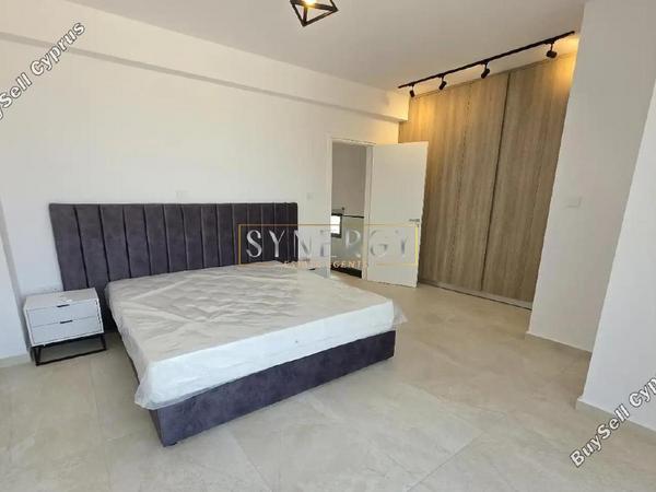 3 bedroom detached house for rent geroskipou paphos 8903455 image 17549125