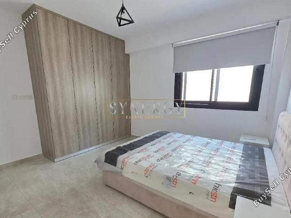 3 bedroom detached house for rent geroskipou paphos 8903455 image 17549126