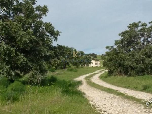 land for sale alaminos larnaca 7986455 image 11945078