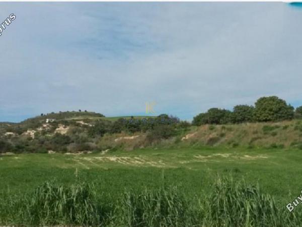 land for sale alaminos larnaca 7986455 image 11945080
