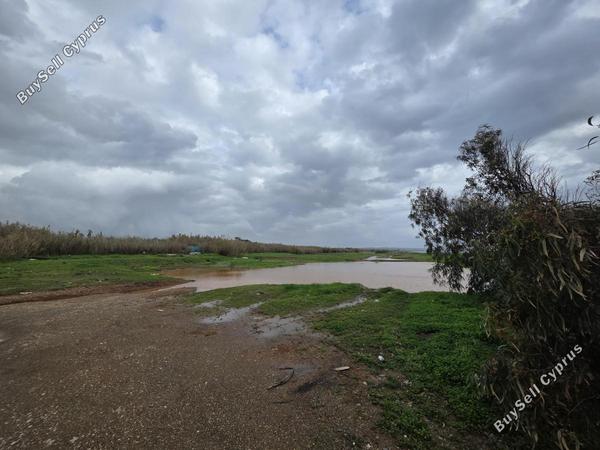 land for sale ormideia larnaca 8307455 image 14134819