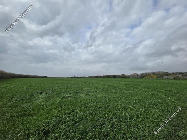 land for sale ormideia larnaca 8307455 image 14134820
