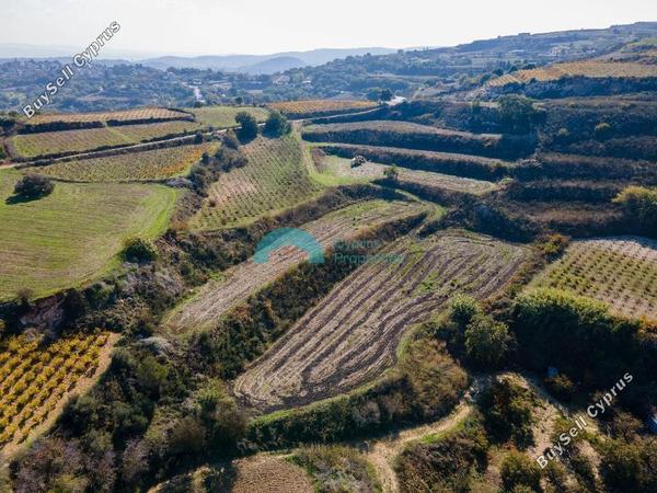 land for sale stroumbi paphos 7816455 image 16015543