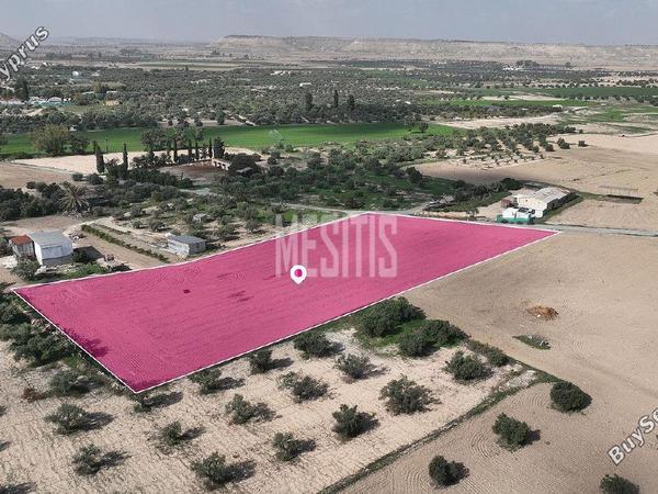 plot for sale athienou larnaca 1313455 image 10497505