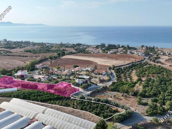 7 bedroom detached house for sale argaka paphos 8185555 image 15825066