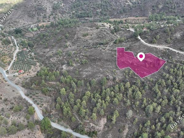 land for sale fikardou nicosia 8629555 image 15868903