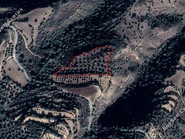 land for sale loukrounou paphos 8649555 image 16879681
